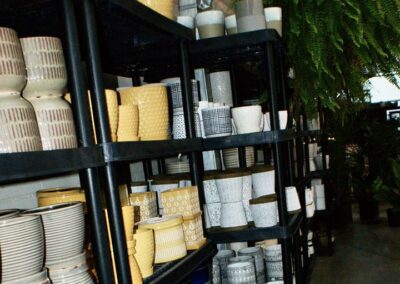 Garden Shop - pottery on shelf e1675916279485